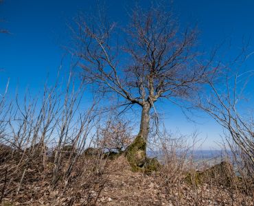 Nordhessische Eindrücke_2