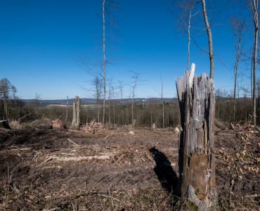 Nordhessische Eindrücke_2