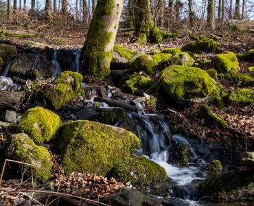 Nordhessische Eindrücke_8